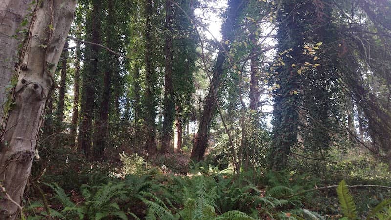 Harlock Place Park - Image 2