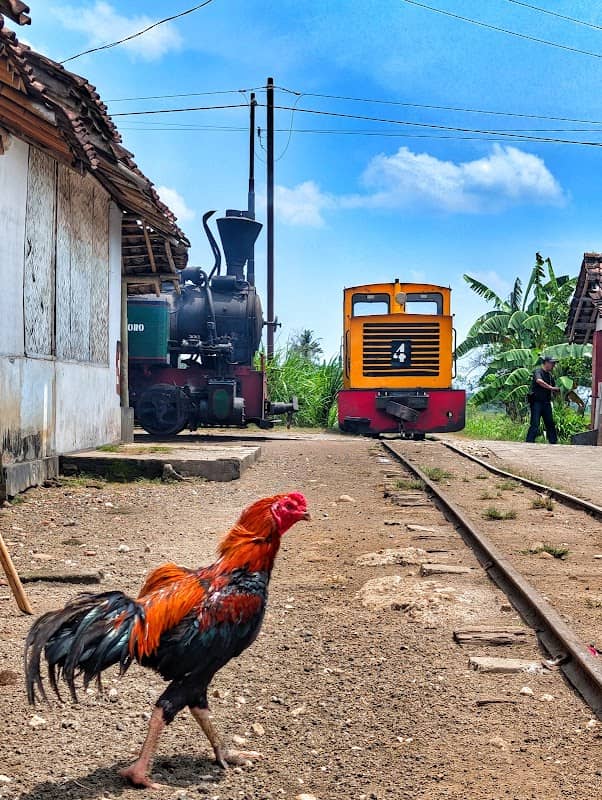 CROSS RAILROAD - Image 2