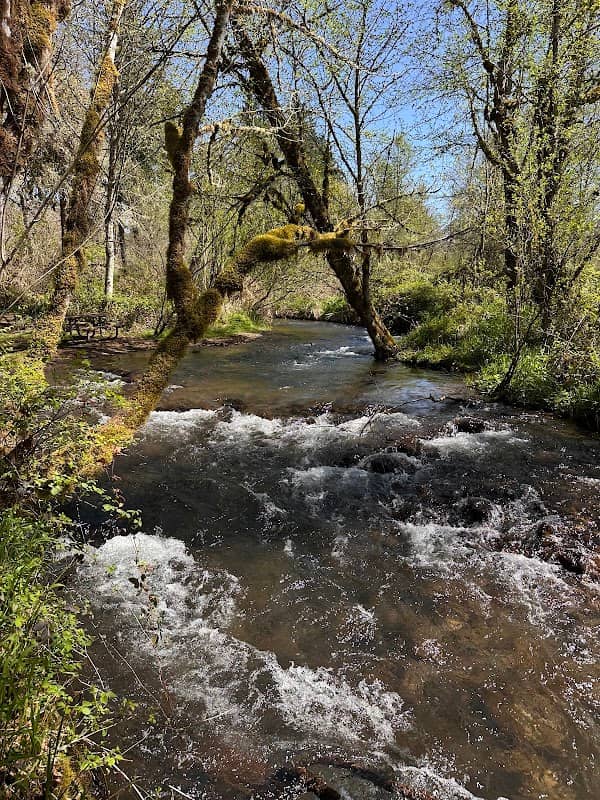 Roaring River County Park - Image 1