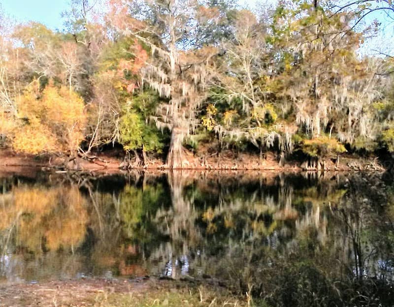 Ogeechee River Camping Club - Image 1