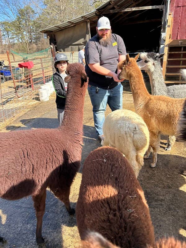 Blackberry Hill Alpacas Weddings & Events, LLC. - Image 1
