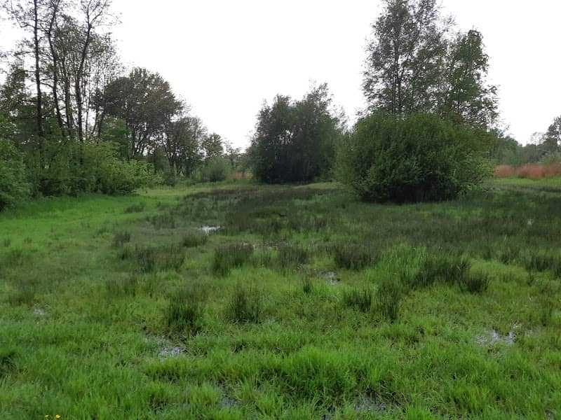 Groengebied Amstelland - Image 1