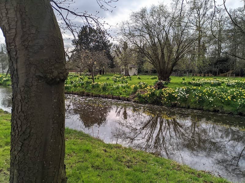 Wester-Amstel - Image 2