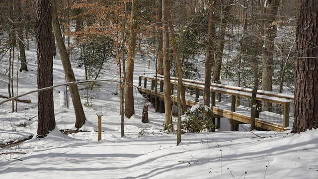 The Heritage Trail - Image 1