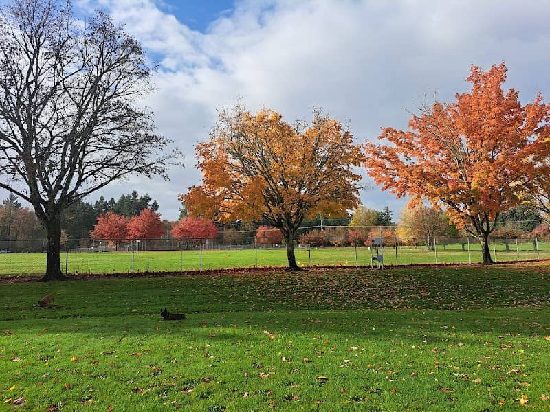 Joe Dancer Park - Image 3