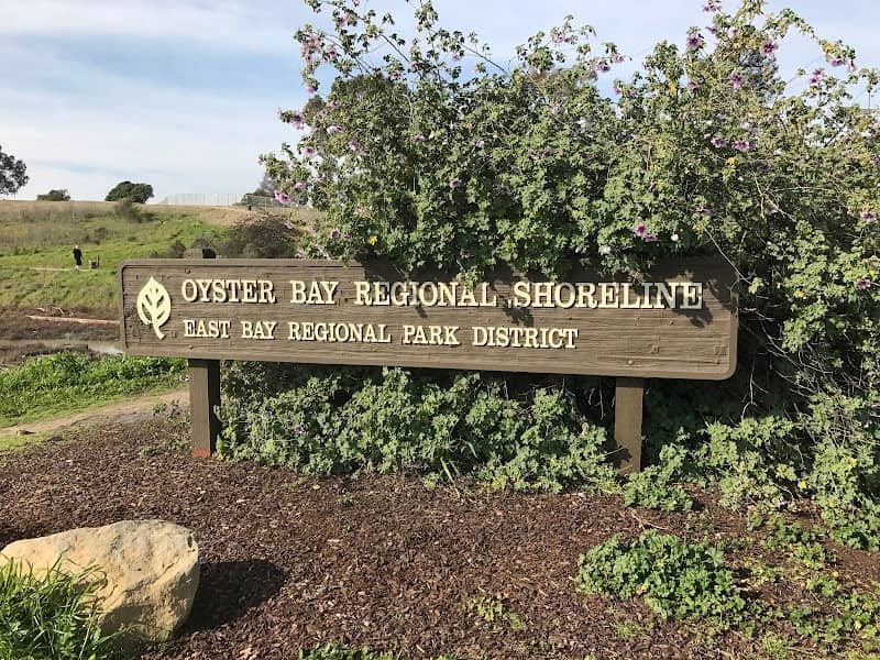Oyster Bay Regional Shoreline - Image 1