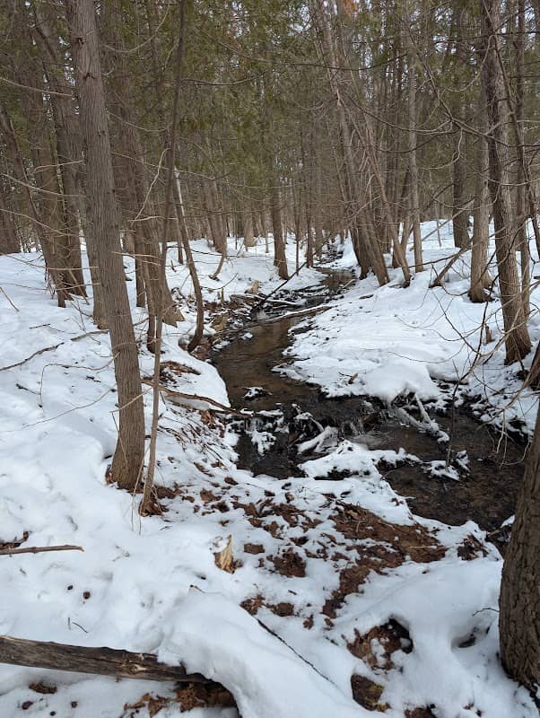 Gabos Family Nature Preserve - Image 1