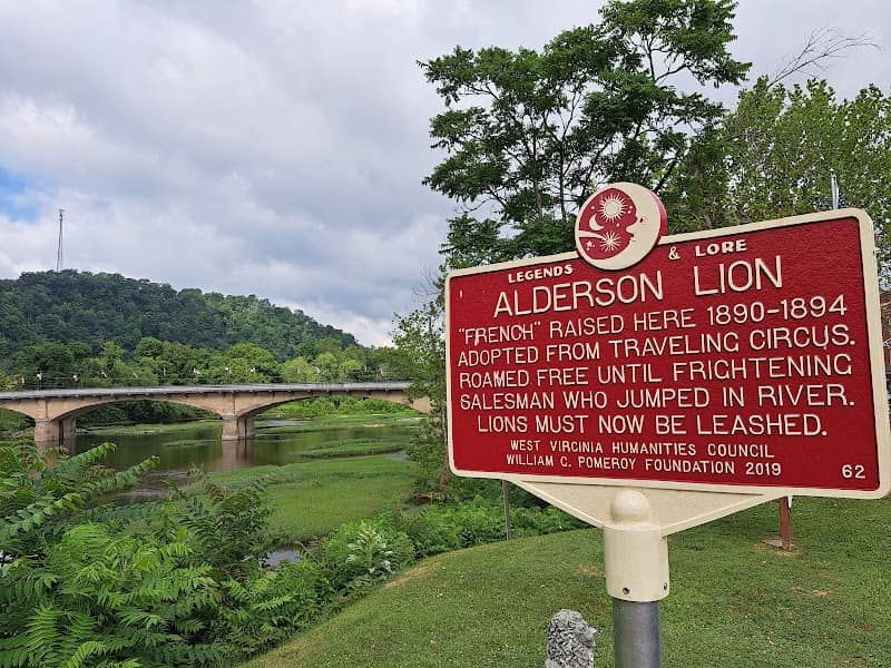 Alderson Lion - Image 1