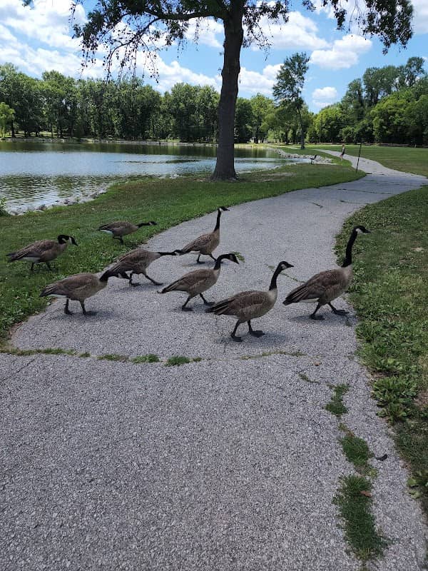Arnold City Park - Image 3