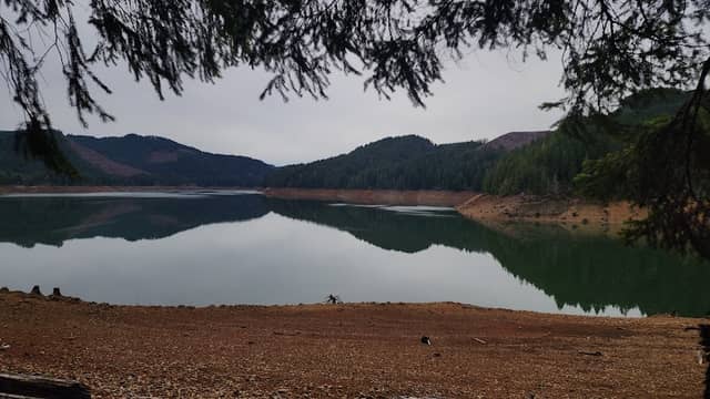 Whitcomb Creek Trail - Image 1