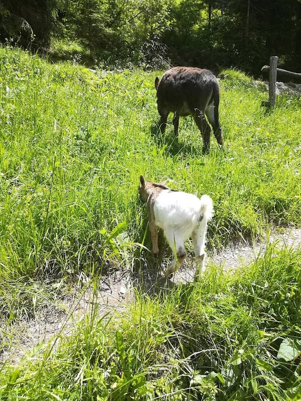 Parco giochi - Image 2