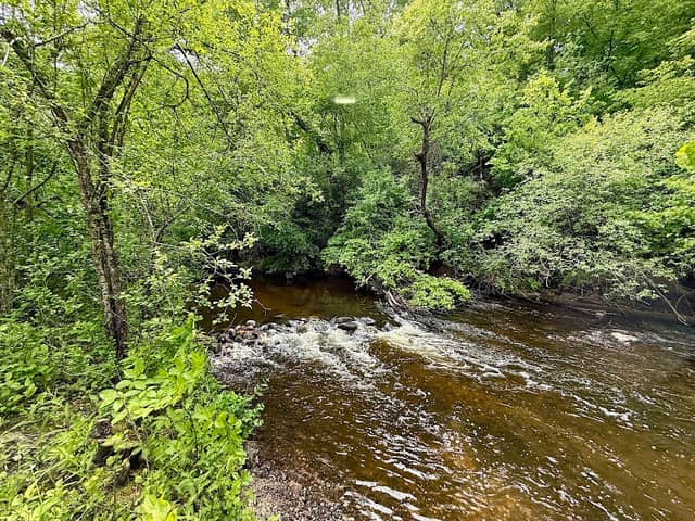 Hidden Valley Park - Image 2