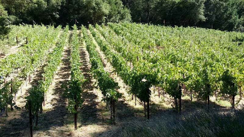 Château Boswell Winery - Image 3