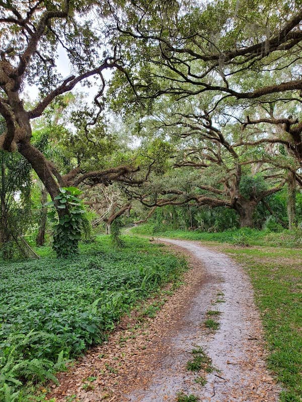 Pine Island Ridge Park - Image 1