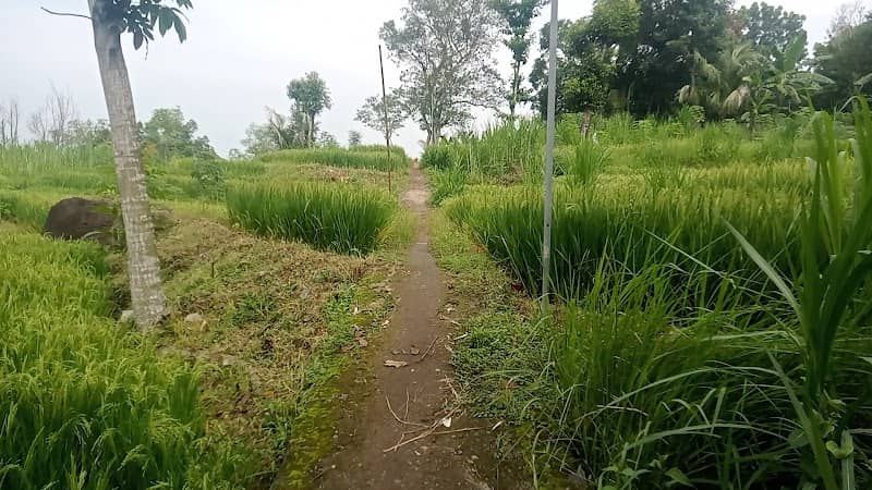 Berugak Numpang Seneng - Image 1