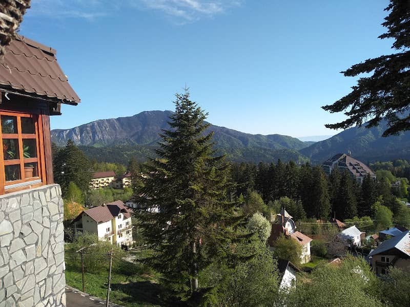Pensiunea turistica Milcov-Vladet - Image 1