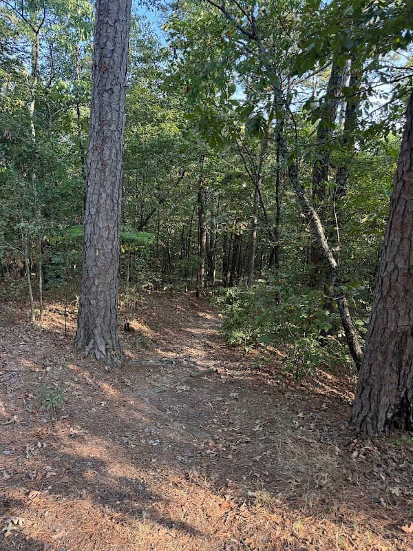 Dancing Rabbit Trail - Image 2