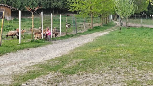 Wildpark Sonnenhalde - Image 1