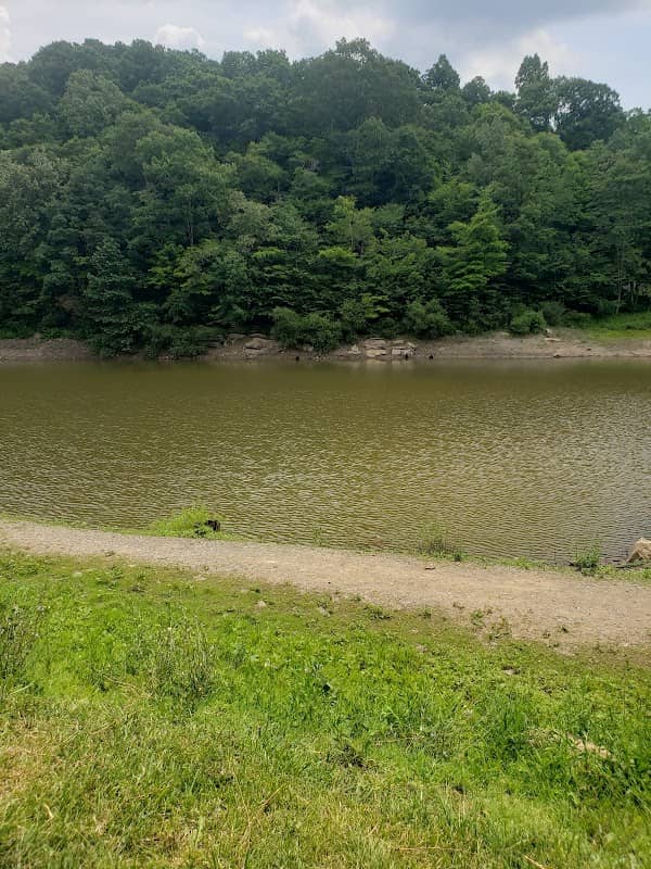 Jimmy Lewis Lake - Image 1
