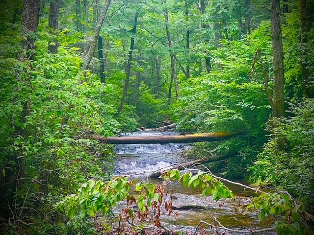 Crabtree Falls Trail - Image 2