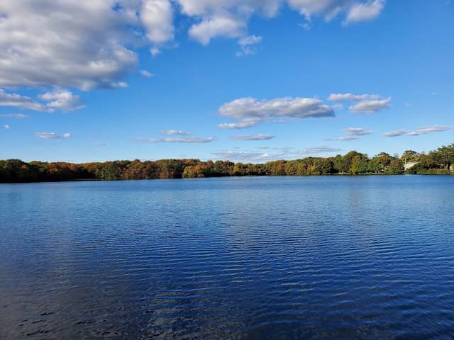 Southards Pond Park - Image 5