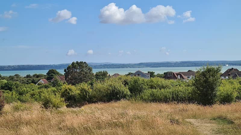 Sandhill - Image 2