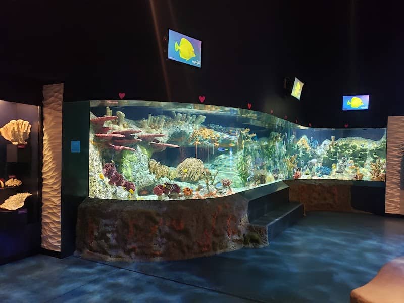 Cook Museum of Natural Science - Image 1
