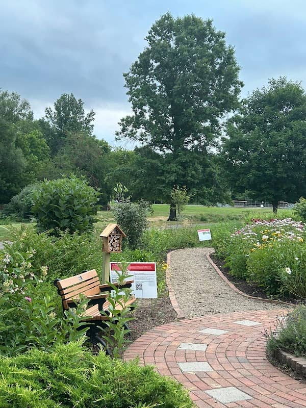 Bee Garden - Image 1