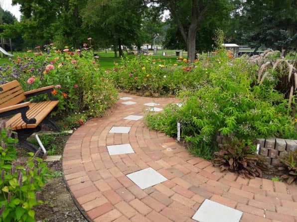 Bee Garden - Image 2