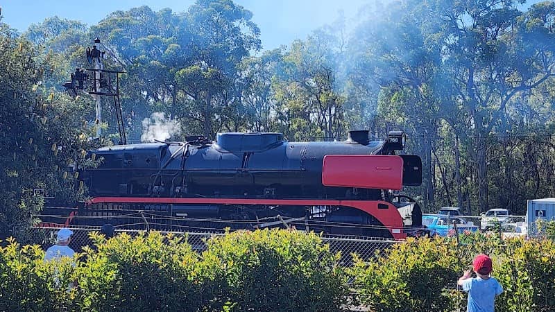 Thirlmere Festival Of Steam - Image 2