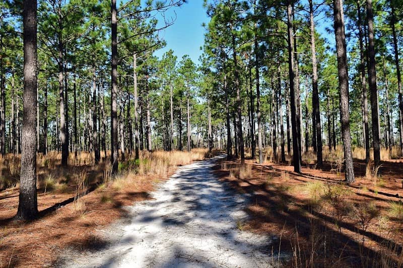 Carvers Creek State Park, Sandhills Access - Image 1