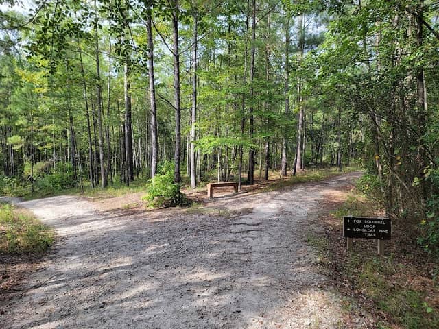 Carvers Creek State Park, Sandhills Access - Image 2
