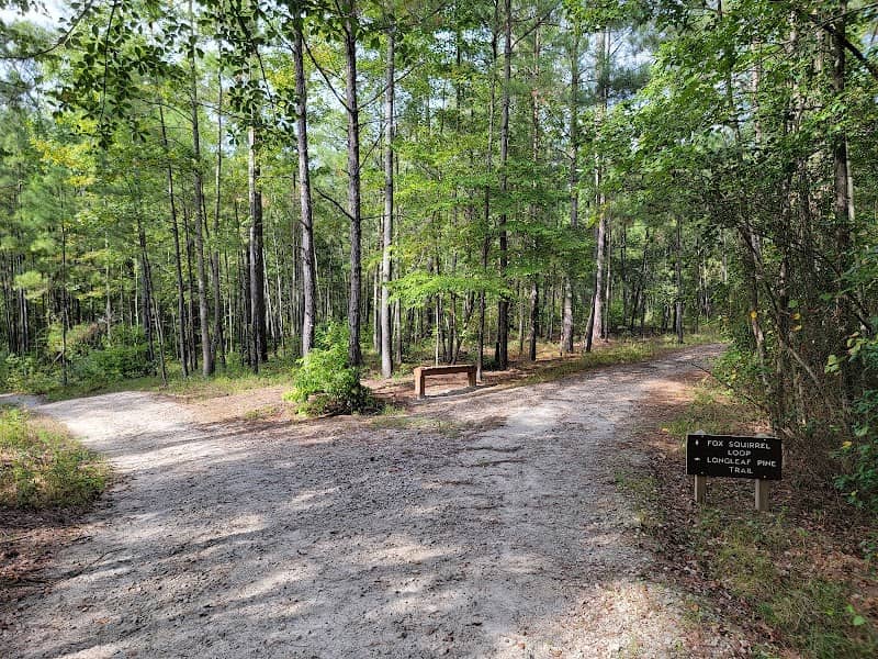 Carvers Creek State Park, Sandhills Access - Image 2