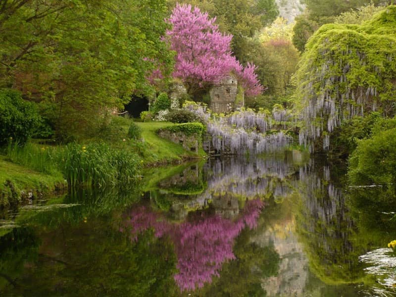 Giardino di Ninfa - Image 1