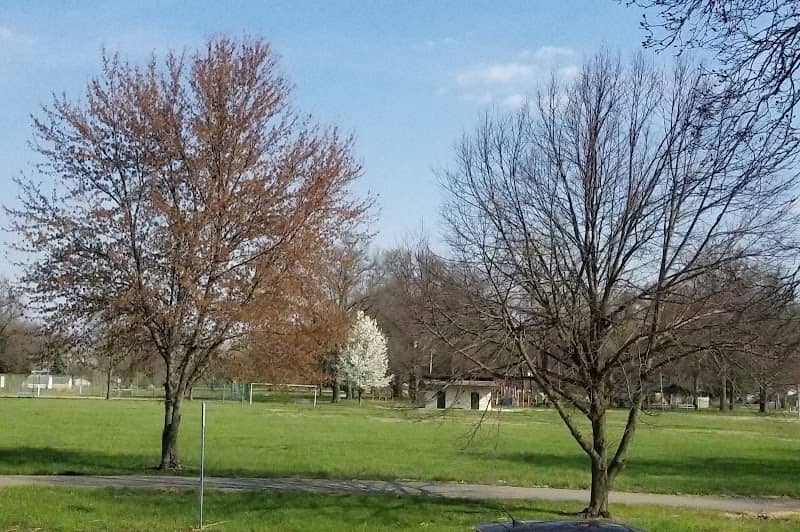 Aubuchon Park - Image 1