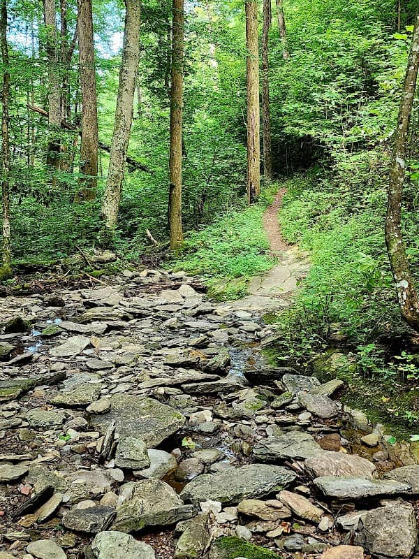 Crooked Arm Cascades - Image 1