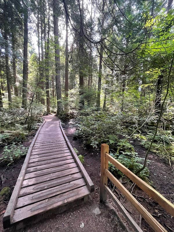 Sword Fern Trail - Image 2