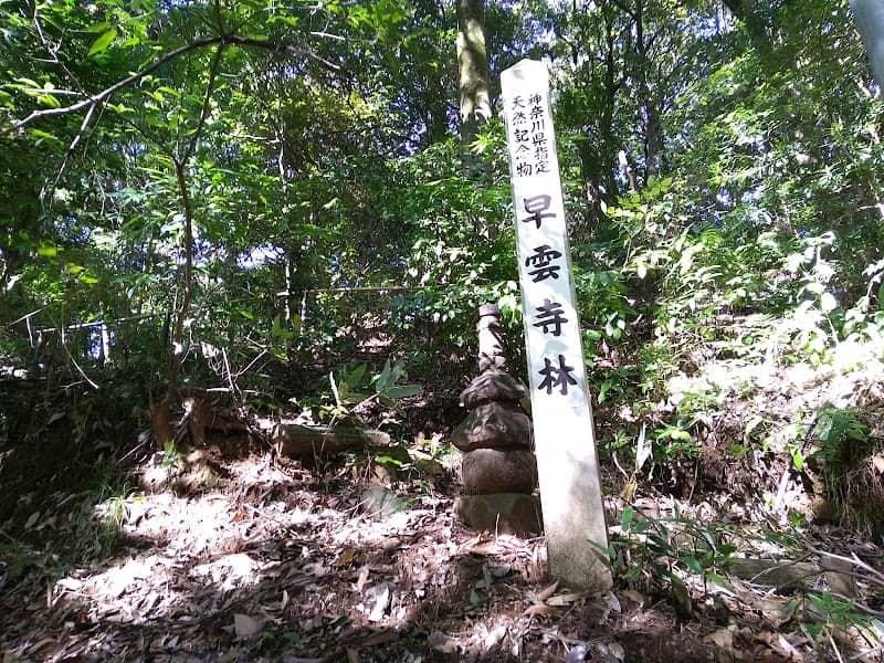 Soun Park - Image 2