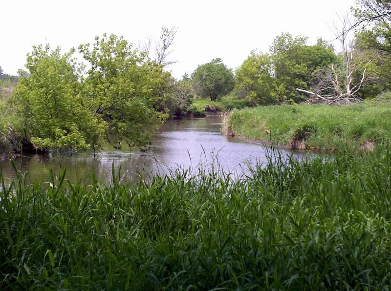 Barnes Forest Preserve (North) - Image 2