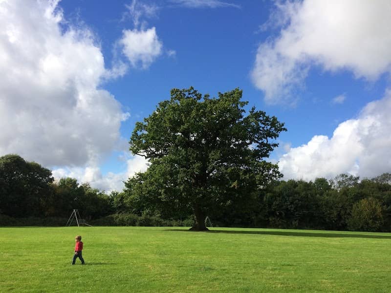 Wicks Green - Image 1