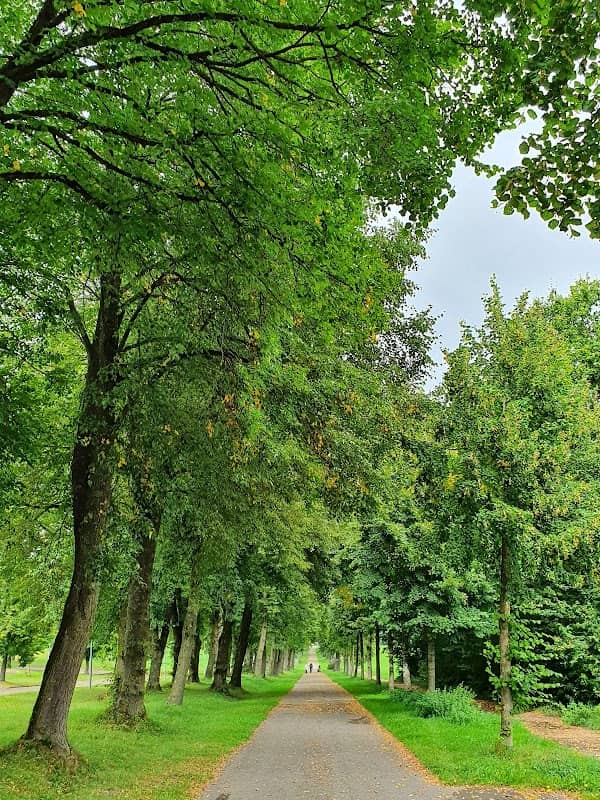 Allee - Image 1