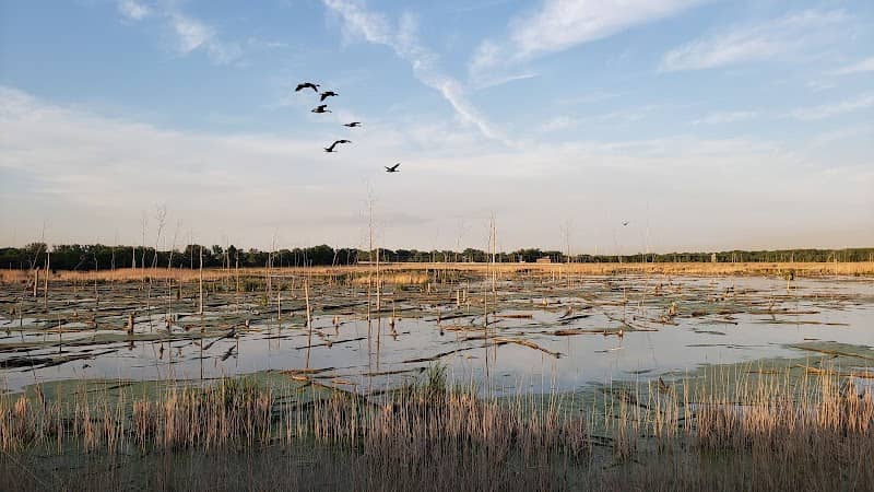 Highland's Heron Rookery - Image 2