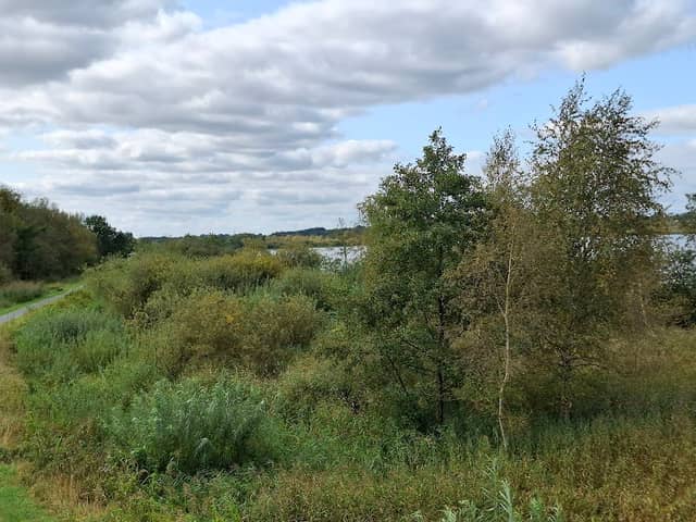 Aussichtsturm Bad Bederkesa See - Image 1