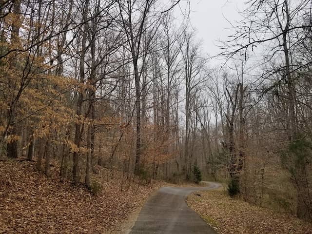 Pacolet Nature Trail - Image 1