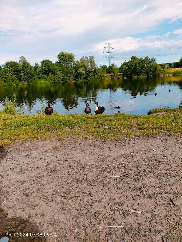 Heywood-Park - Image 1