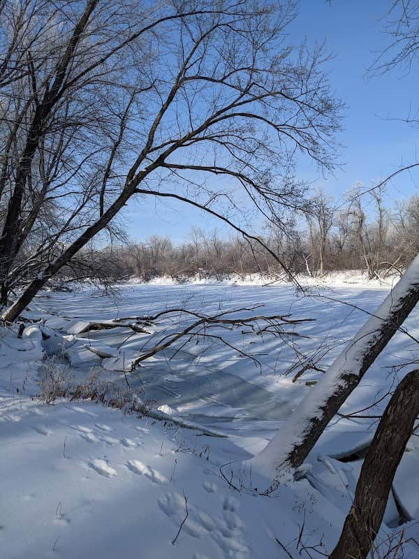 Goodin Park - Image 2