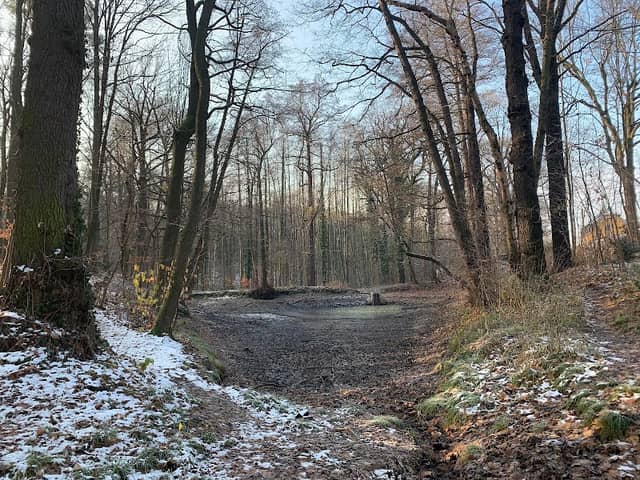 Waldpark Radebeul-West - Image 1