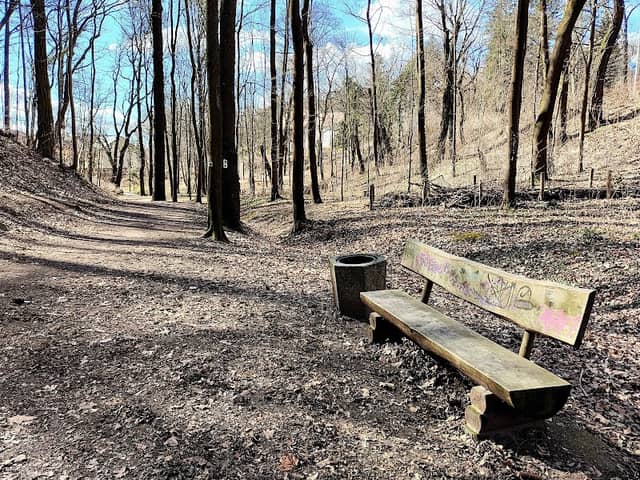 Waldpark Radebeul-West - Image 2