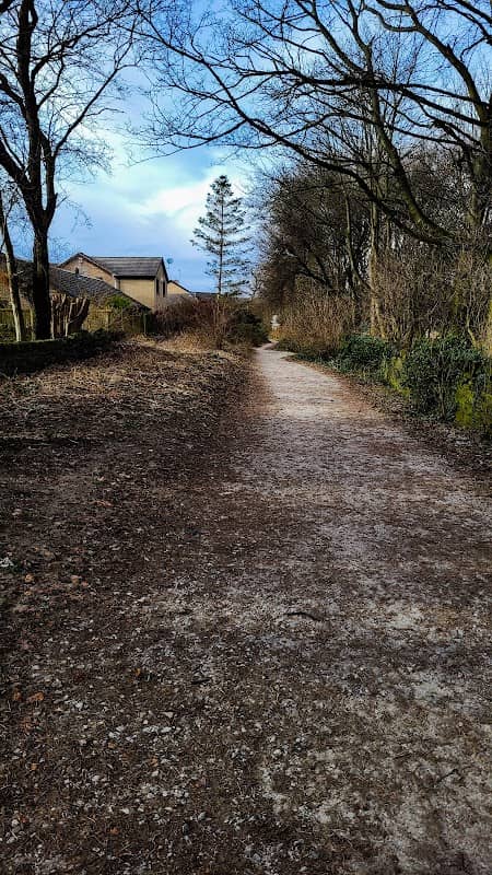 Grassy Lane, Hove Edge - Image 2