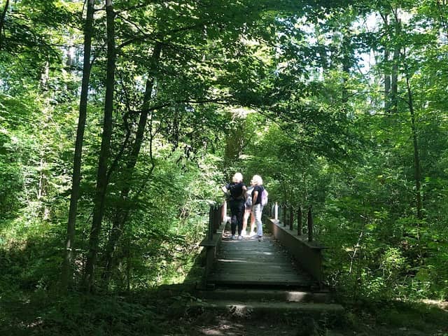 Oberlin Arboretum - Image 2